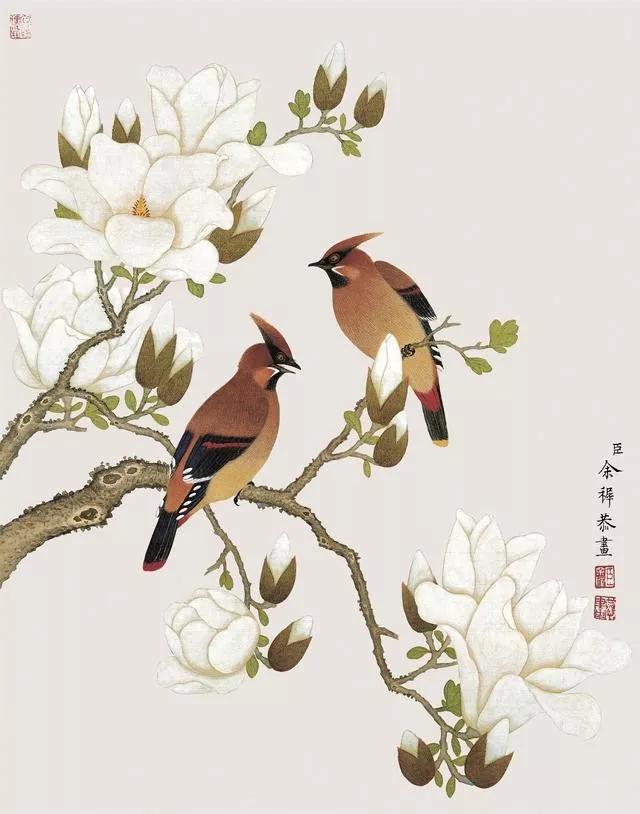 清代九大名家花鸟册页欣赏,清朝九大名家花鸟山水图