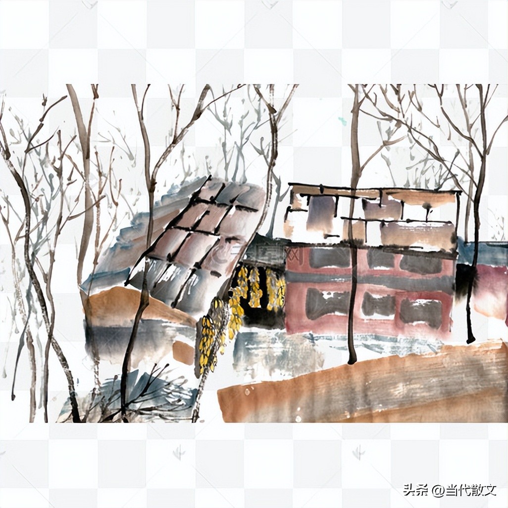 当代散文经典,老屋岁月散文