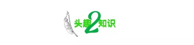 两千多元校服引争议后续,天价校服事件后续