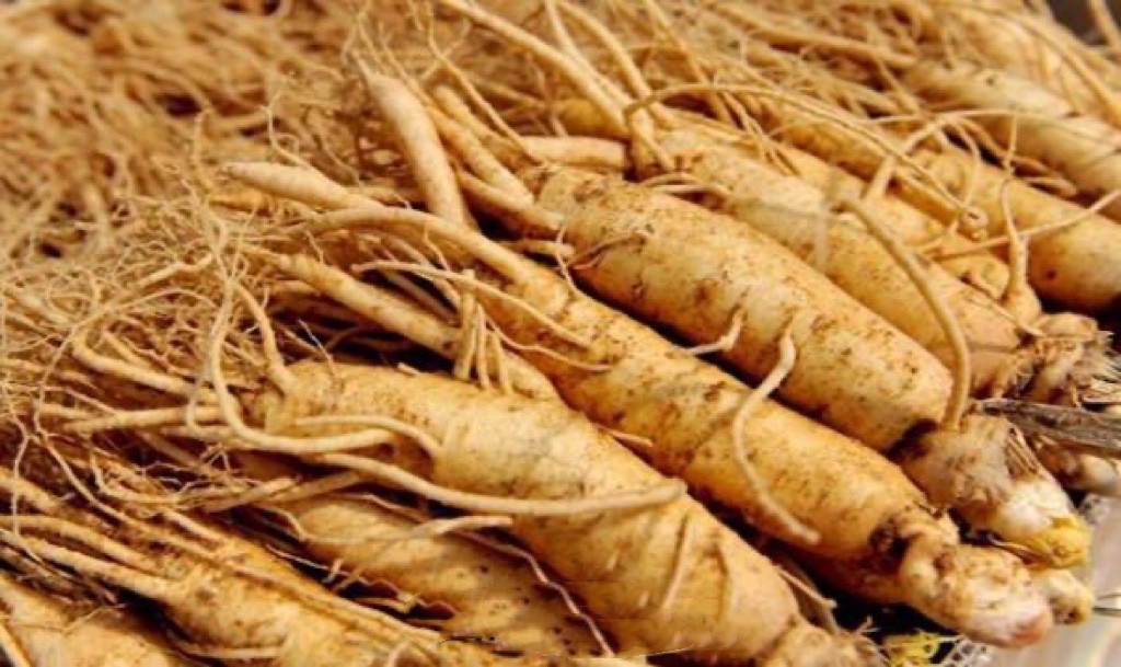 韩国老百姓真实现状,韩国房价现状真实情况