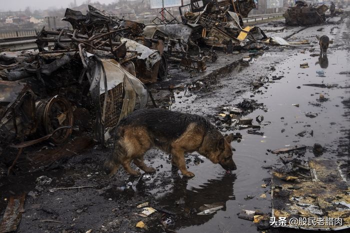 钯金价格还有回升空间吗,钯金价格为什么近期升得高
