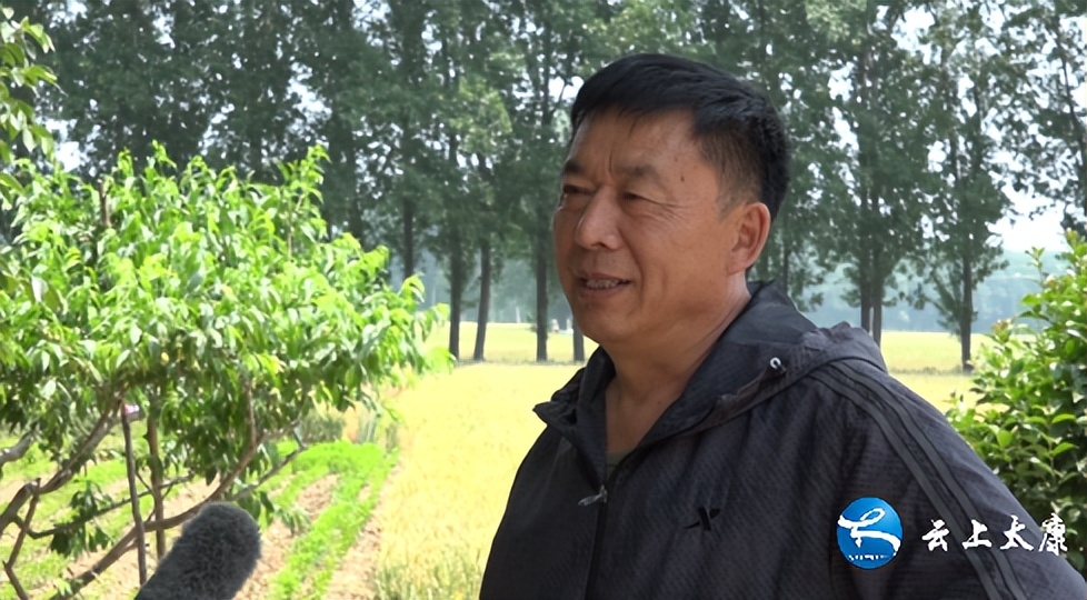 乡村振兴大美太康,乡村振兴看太康