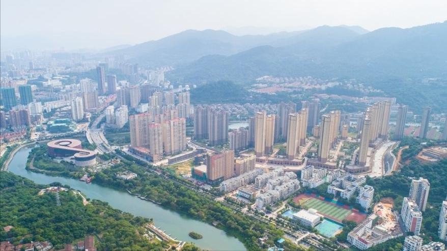 阿迪达斯椰子鞋为什么那么贵,阿迪达斯椰子最新款