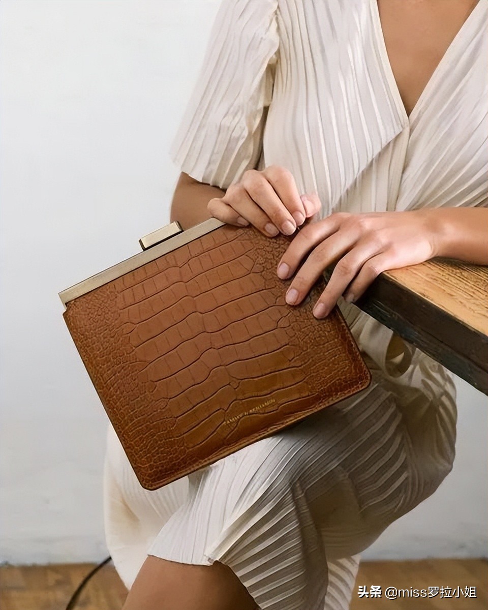 袁咏仪买名牌包包,袁咏仪同款小包