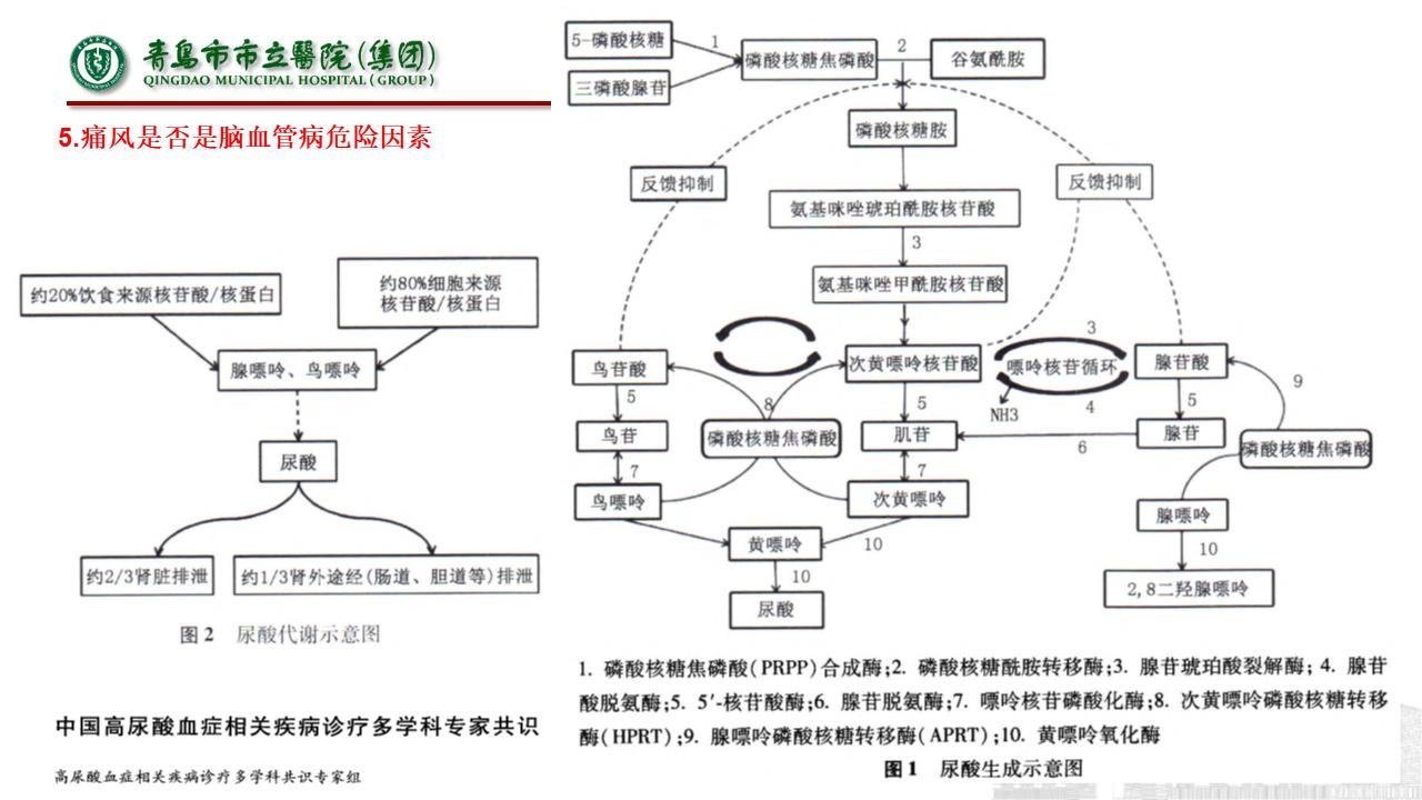 神经内科疾病临床诊疗思维,神经内科理论知识总结