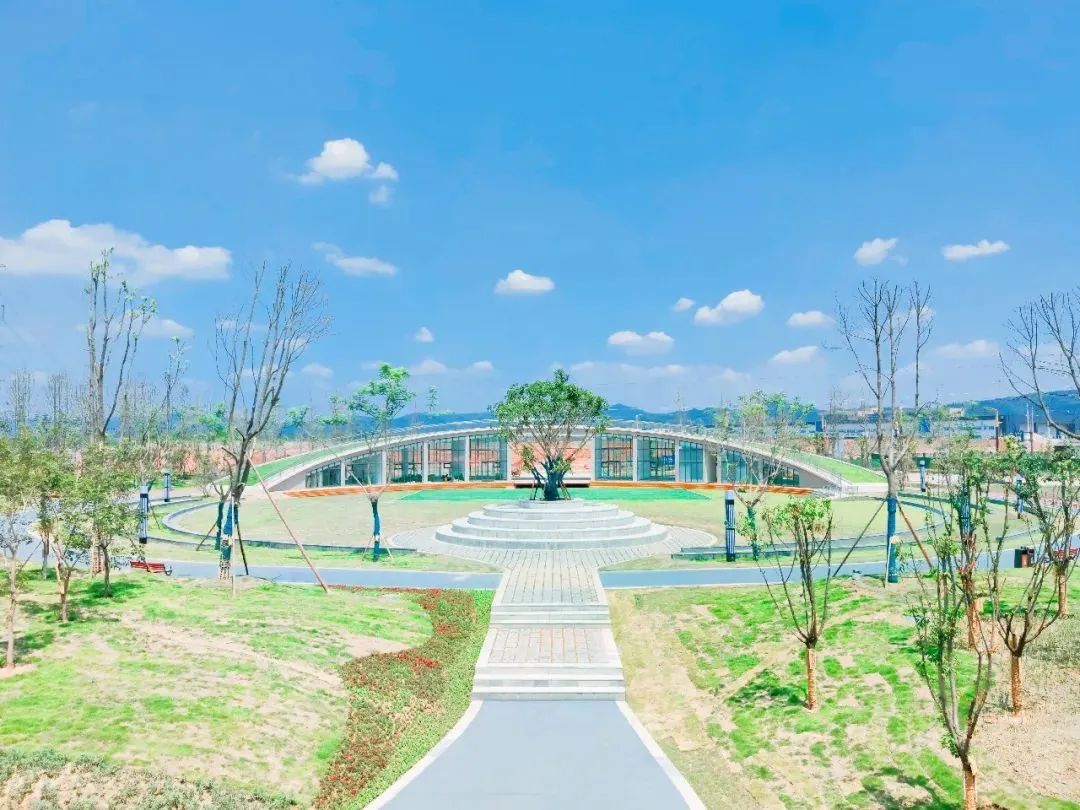 春暖花开运动好时节,春暖花开该开始运动了