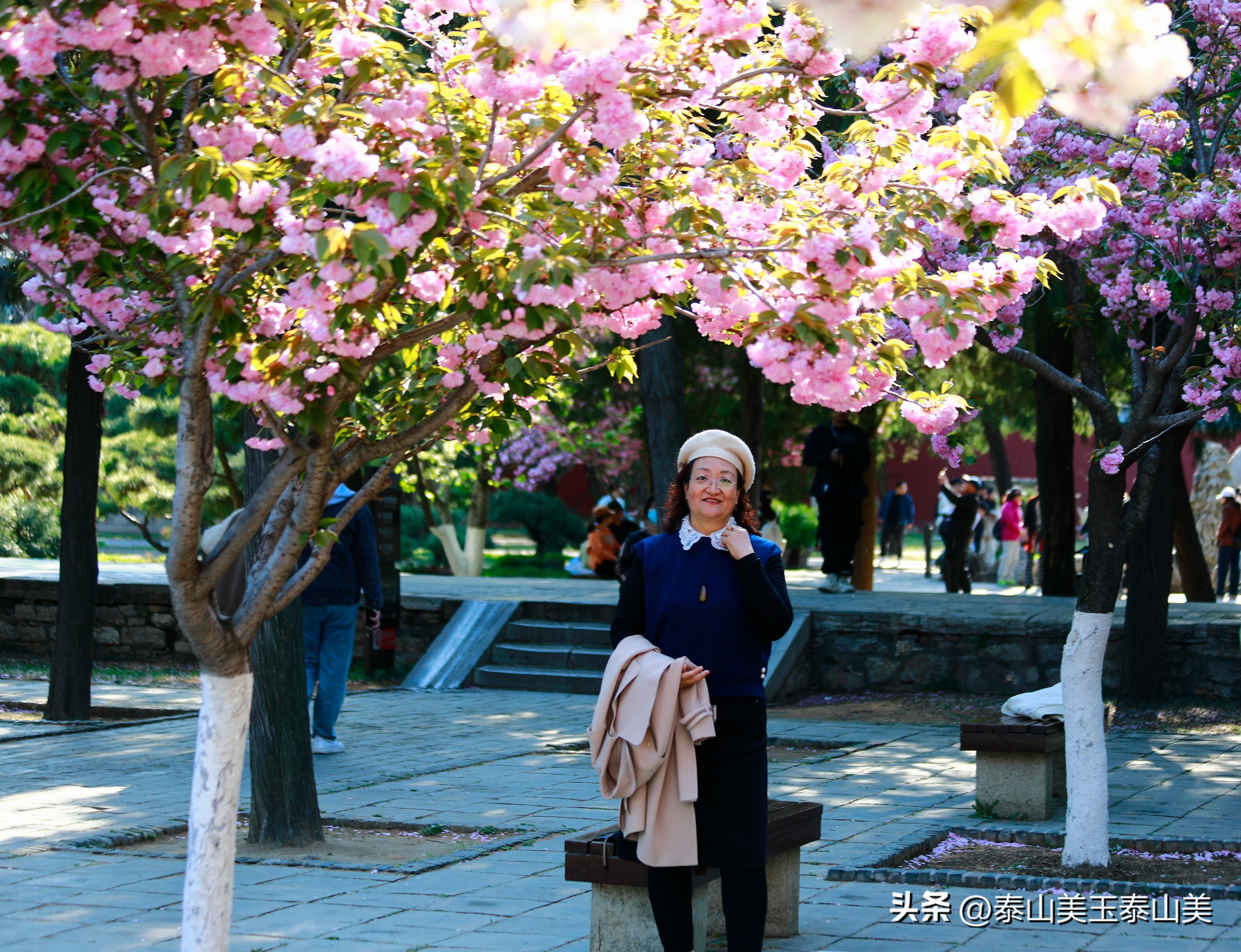 山亭寺沟樱花,定山溪樱花