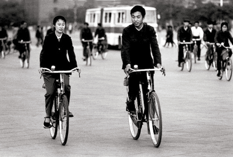 1995年凤凰自行车多少钱一辆,五十年代凤凰自行车价格