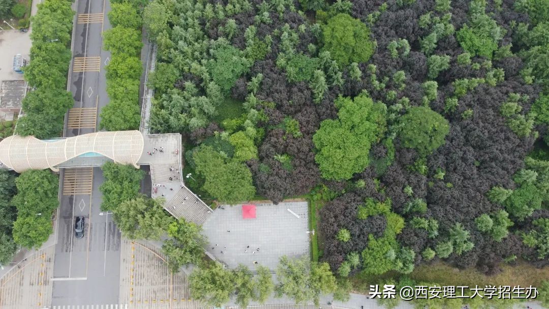 高校绿色学校创建工作总结,绿色学校创建行动方案四川高校