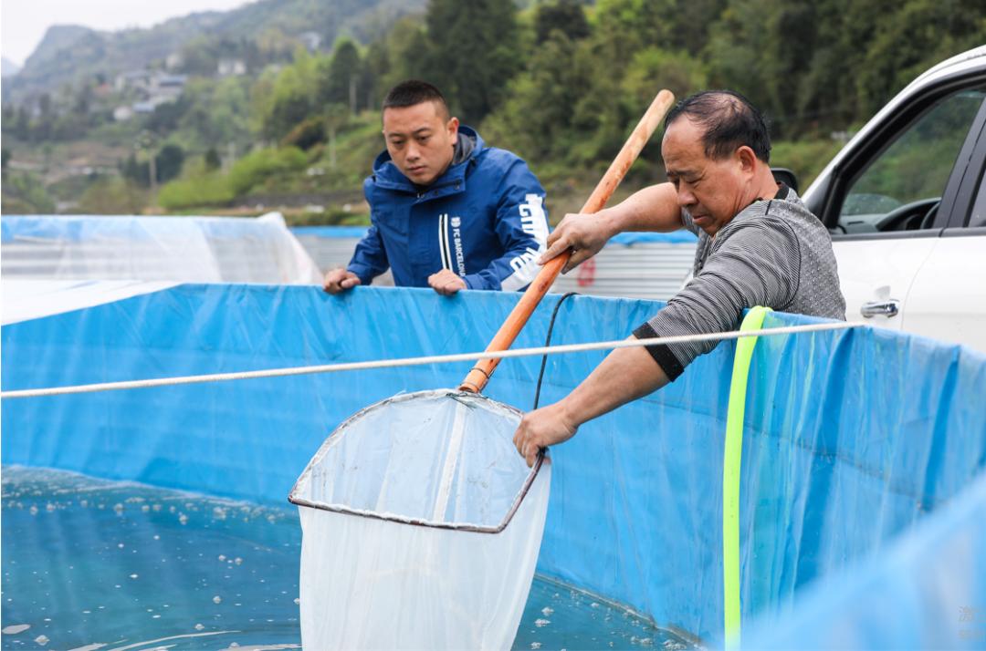 陆基养鱼产业发展存在的问题,陆基圆形池循环水高密度养鱼
