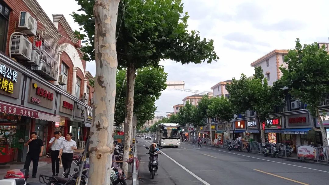 松江洞泾板块未来发展,上海松江洞泾未来5年发展