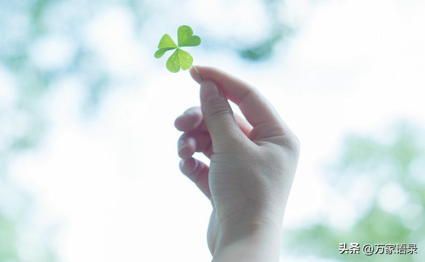 张爱玲的怨女适合20岁女孩子看吗,张爱玲怨女梗概