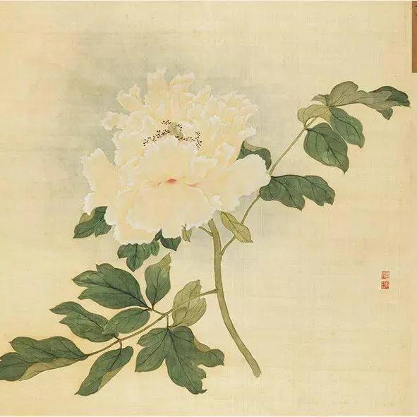 蒋廷锡牡丹画法,蒋廷锡百种牡丹画法