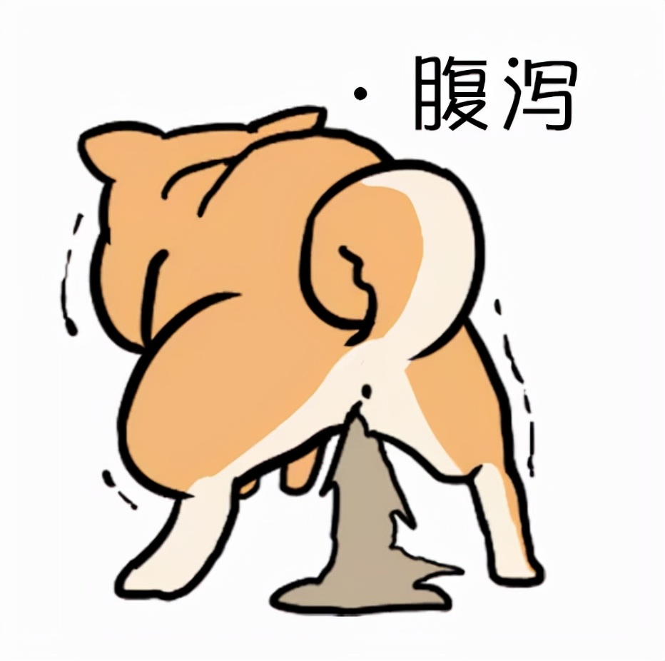 宠物驱虫药吃了多久排虫,宠物吃了驱虫药以后要注意什么