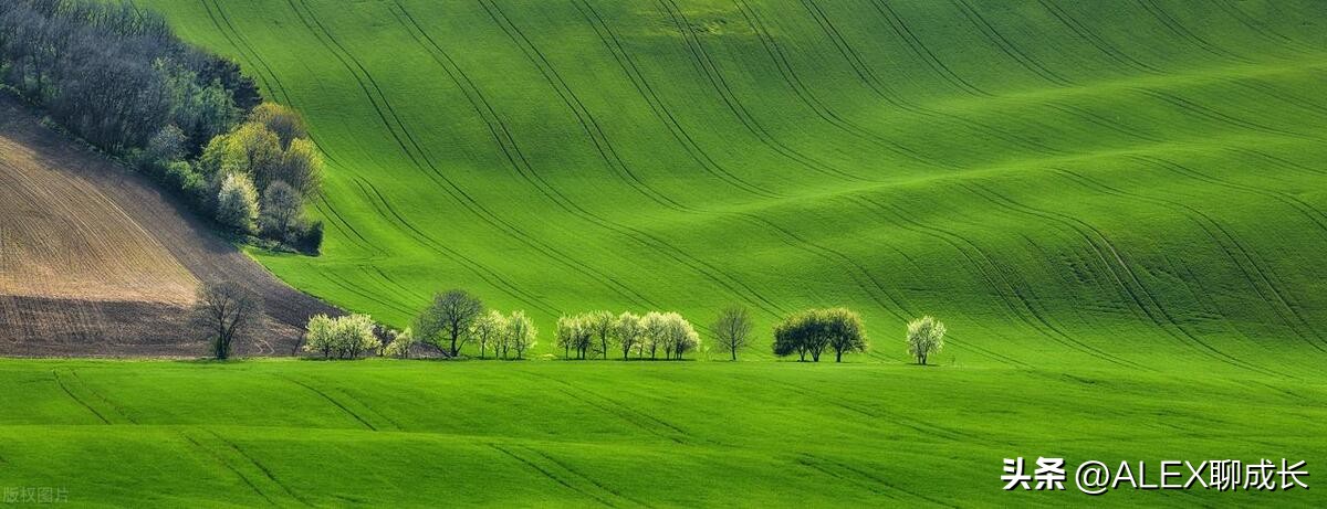 怎么看子女和父母是否相克,和父母相克的子女如何相处