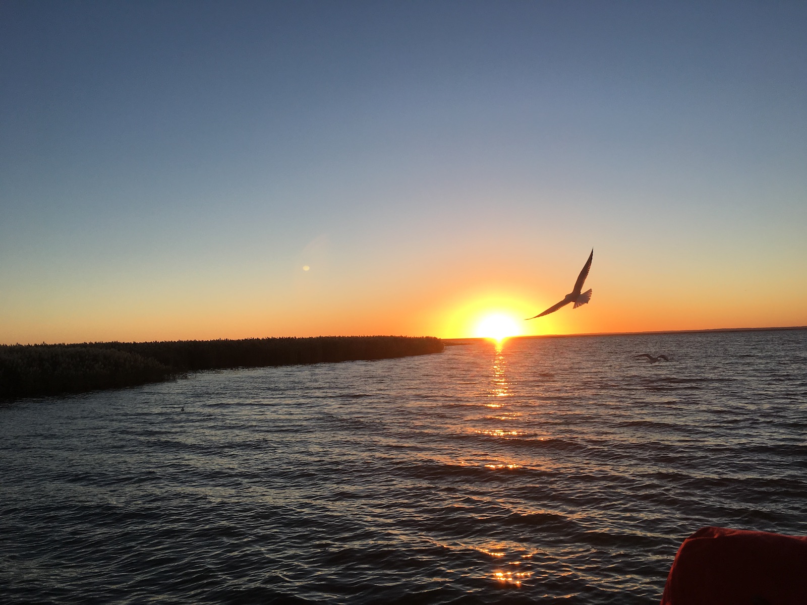 北京自驾额济纳胡杨林十天攻略,从北京到额济纳胡杨林线路