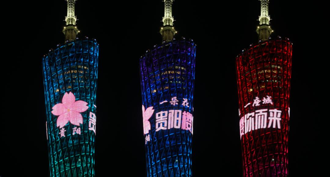 贵阳最大的樱花园,贵阳贵安新区樱花园