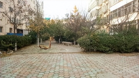 保定能在这些小区的朋友基本不缺钱