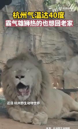 想去游泳馆游泳又怕水脏,想去游泳但是都说泳池很脏怎么办