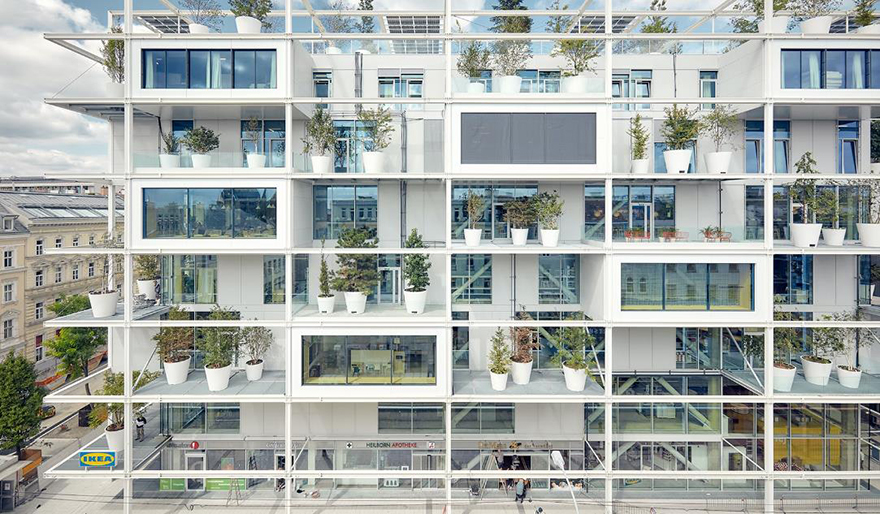 typology涓枃,typology