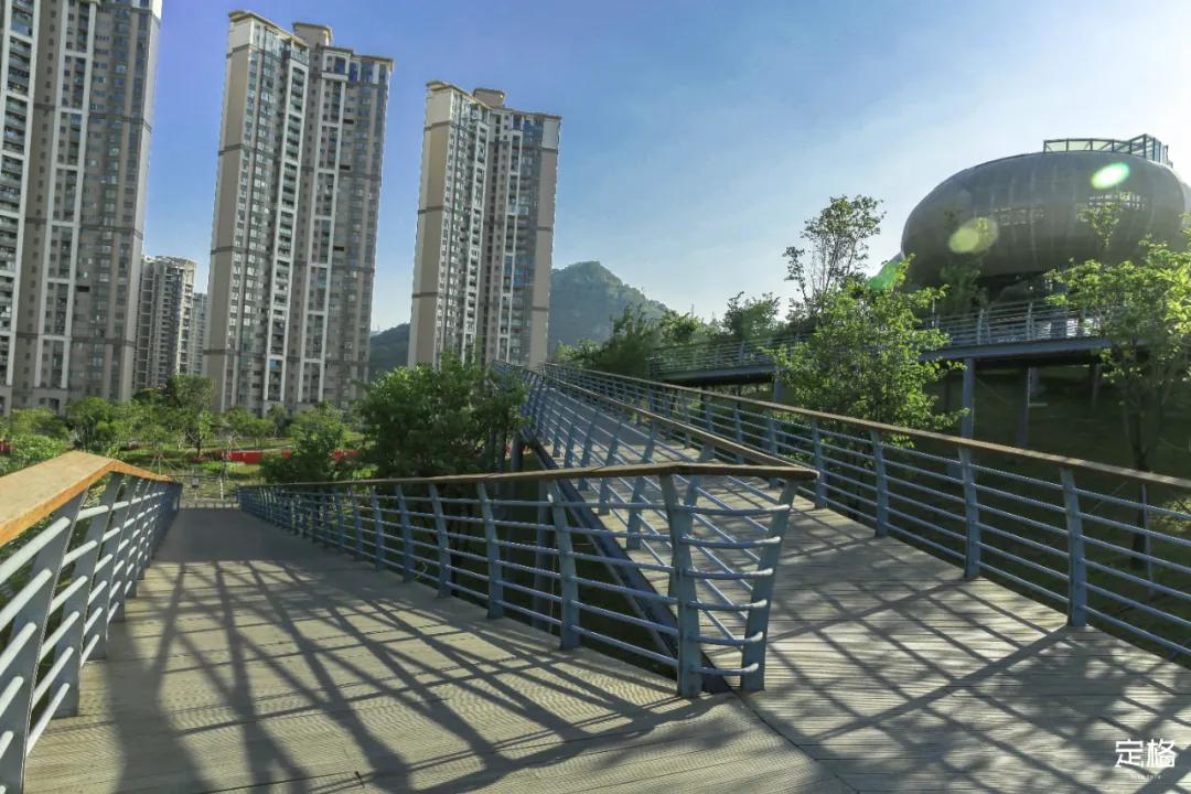 雨林打卡网红地滑梯,深圳莲花山滑梯