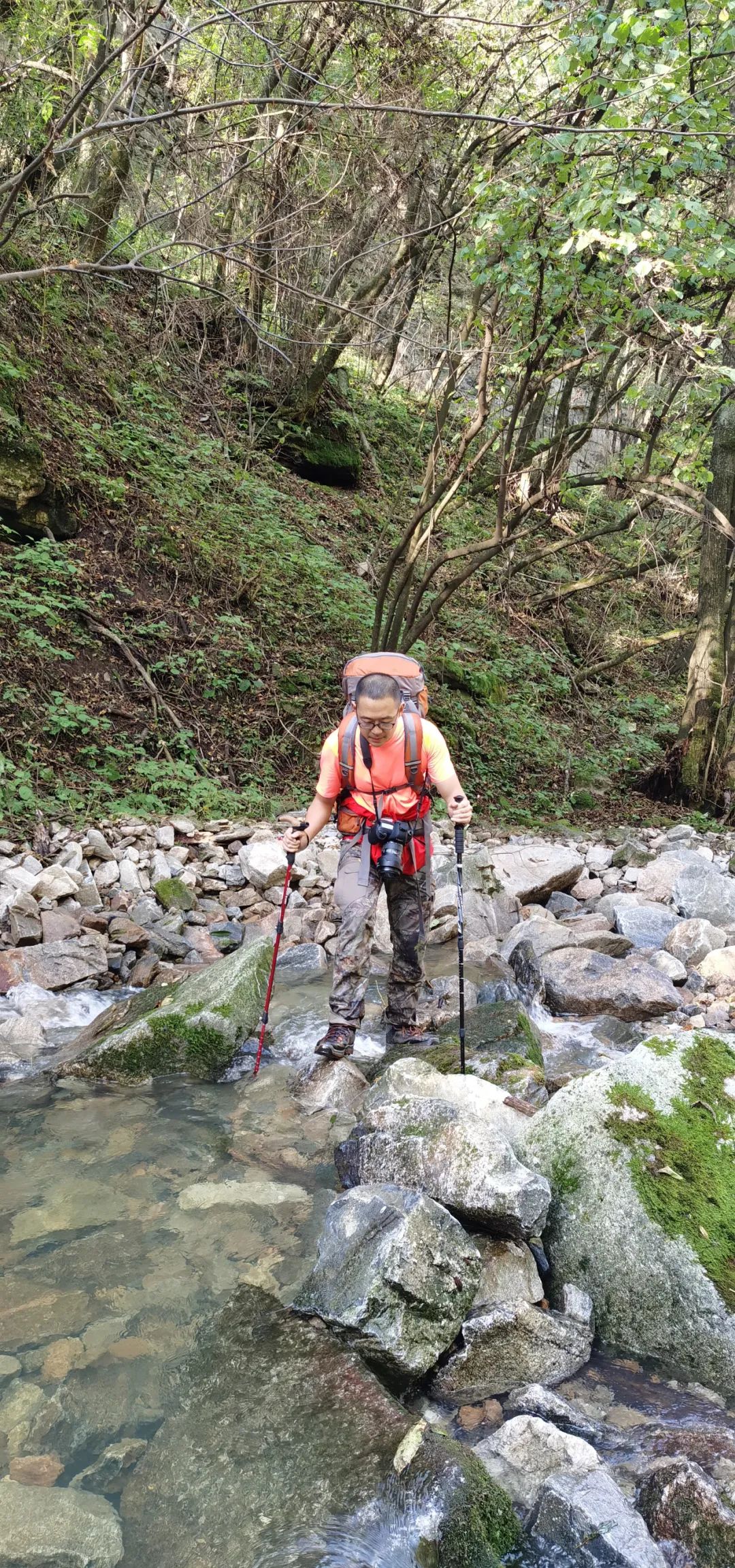 登太白山感受,太白山景区登顶拔仙台