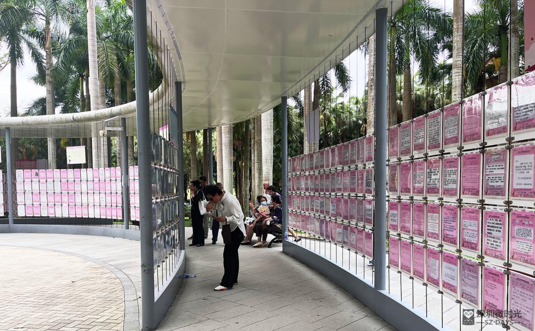 莲花山相亲角案例,莲花山相亲角成功几率