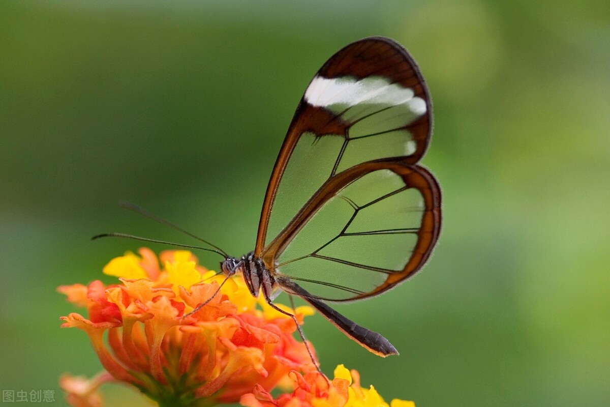 大连婚恋网站哪个靠谱,婚恋相亲网站哪个真实靠谱