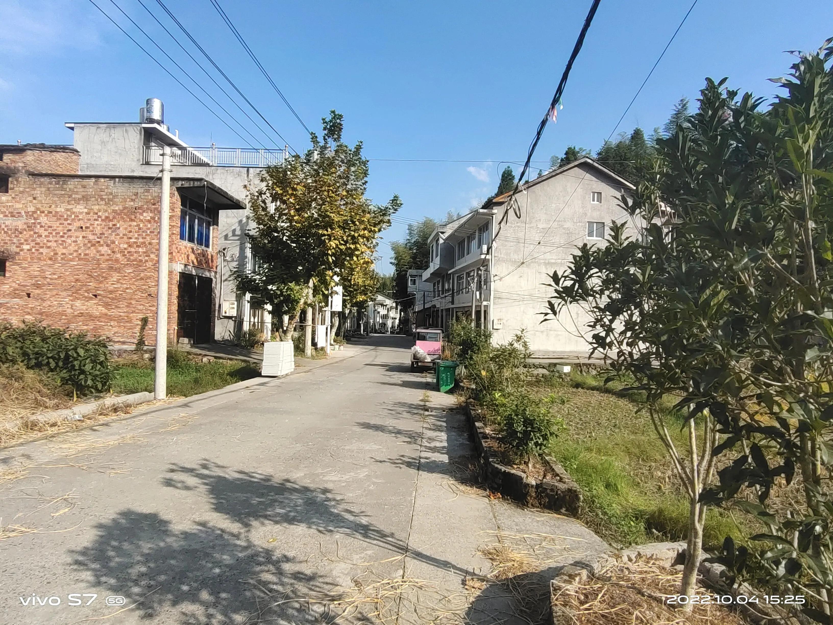 泰顺三杯香茶官网,泰顺县三杯香茶产地