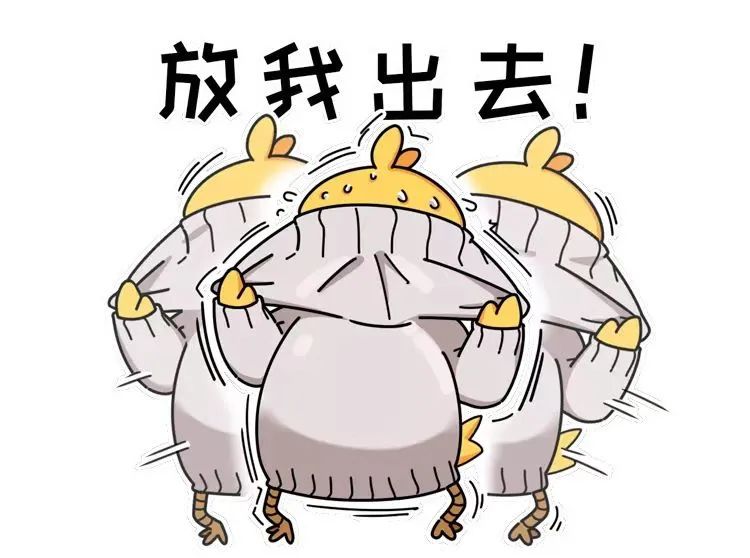 割包皮推荐几月去,暑假割包皮高峰期