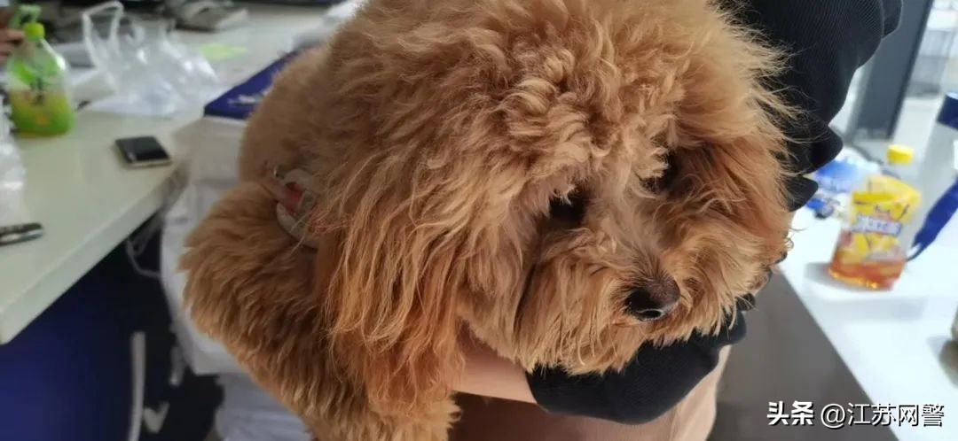 找啊找啊找,找啊找啊找啊