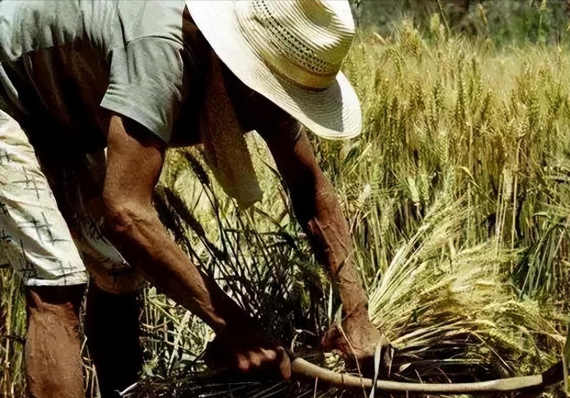 国家给老百姓的政策性补助,中央财政下达100亿元补贴