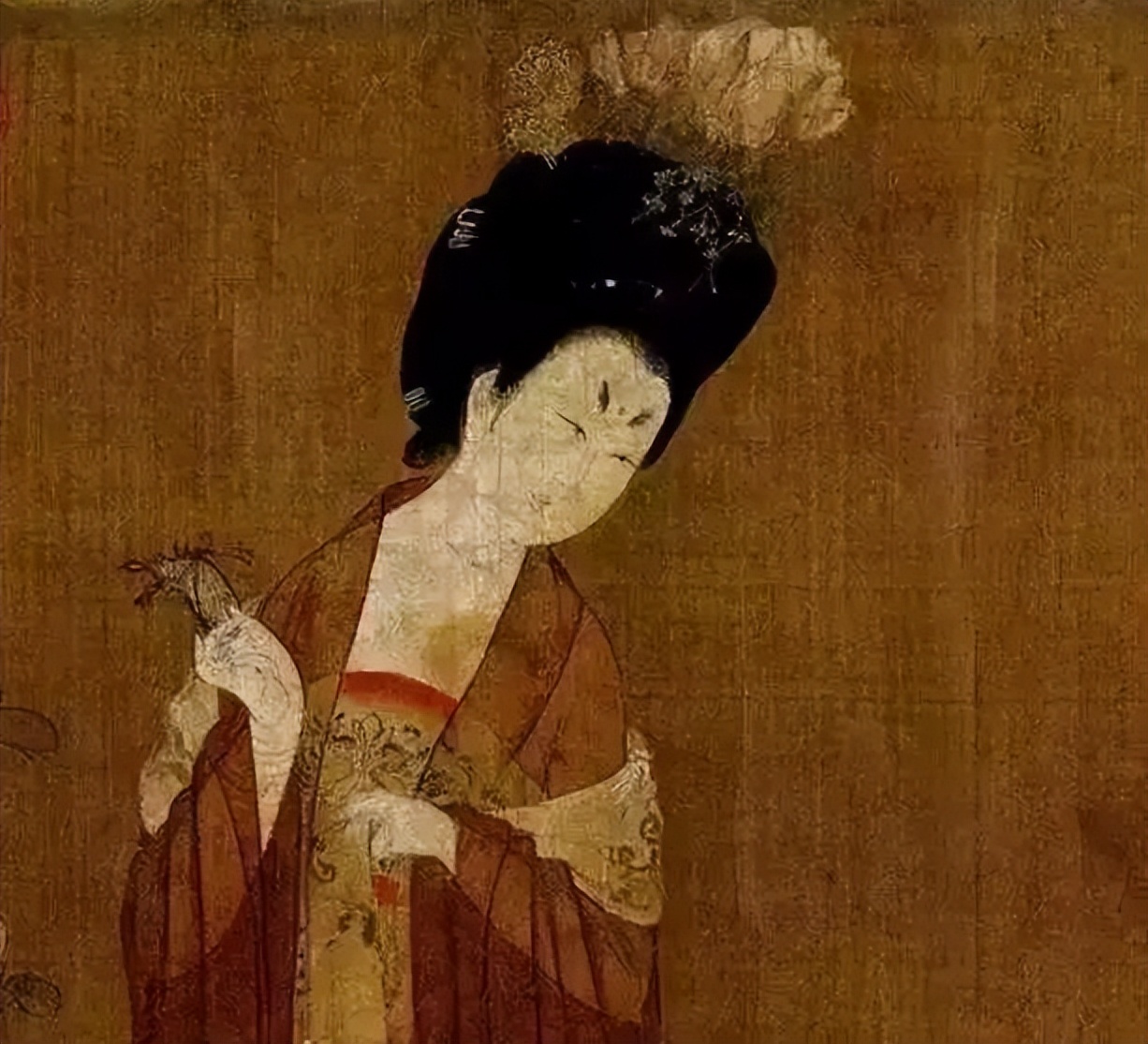 婷曼逸的内衣穿戴方法,婷曼逸内衣一万块钱一套