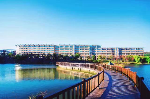 大连外国语大学2019届毕业生,大连外国语大学小语种专业