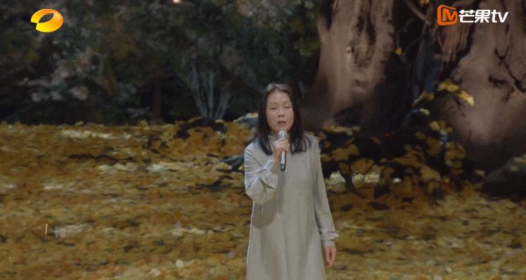 湖南台最近的综艺节目有哪些,湖南台的最新一期节目