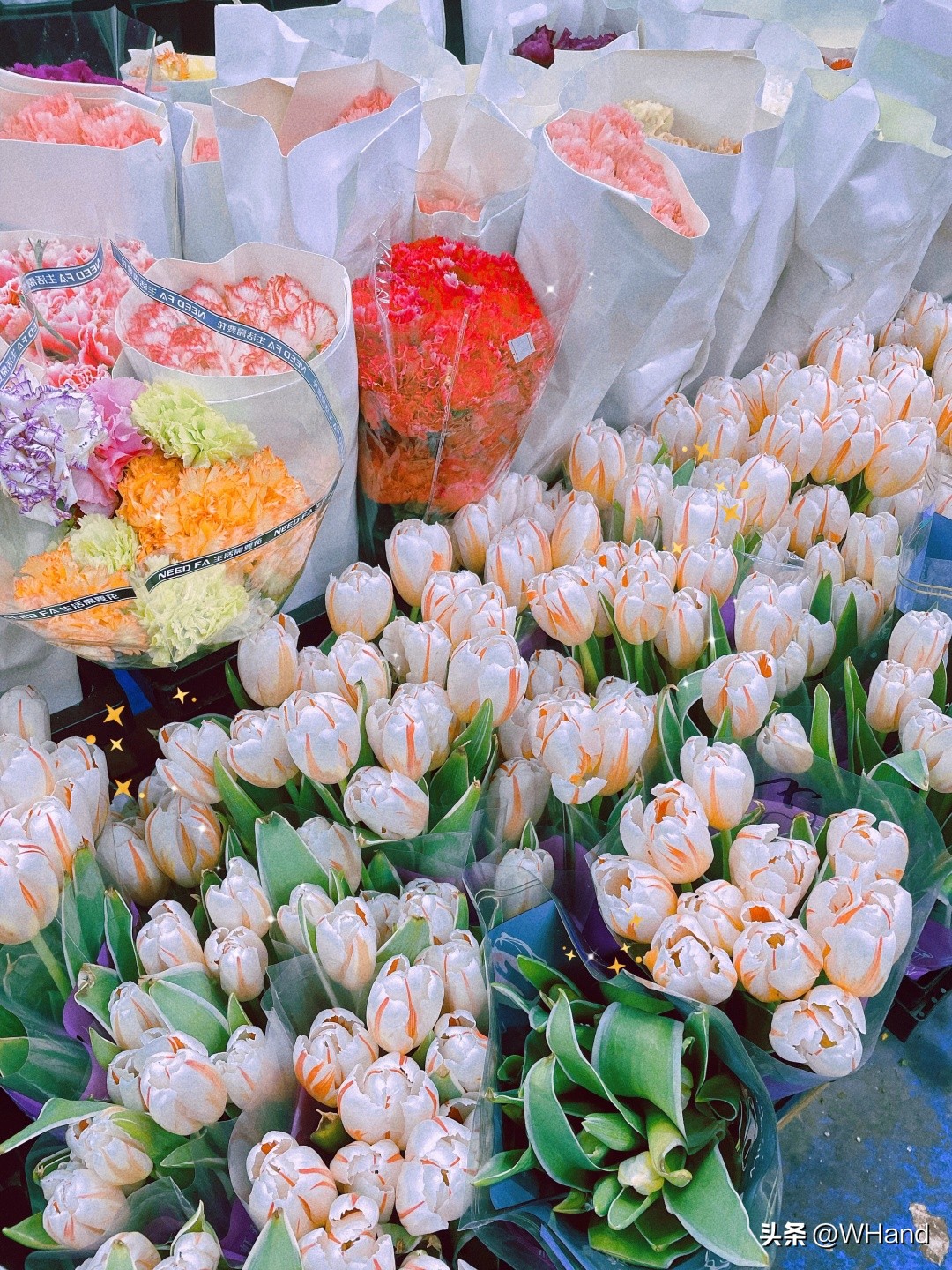 武汉哪些批发市场火爆,武汉人气最旺的批发市场