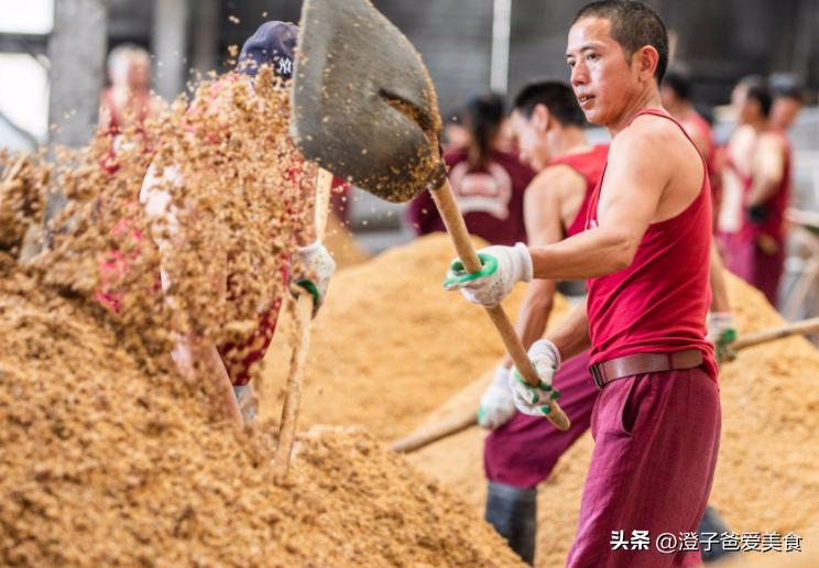 春季吃什么海鱼,海鱼最佳搭配