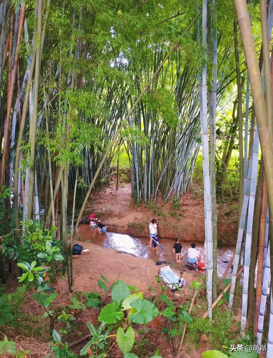 广州这个竹林溯溪胜地玩水,清凉避暑好去处山洞里一起来玩水