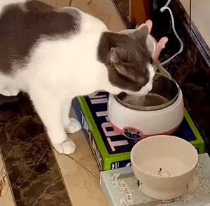 网购省钱的5个小绝招,网购学会这些省钱关键词