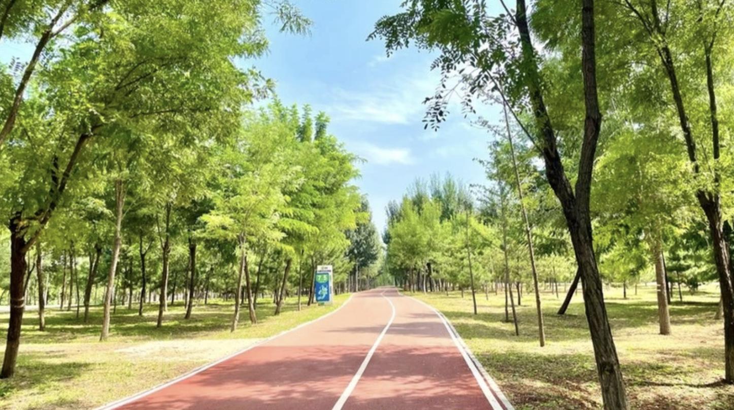 2016北京马拉松前十名,今天北京马拉松比赛