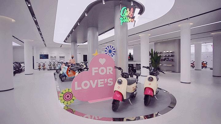 新国标爱玛改款,爱玛高端新国标