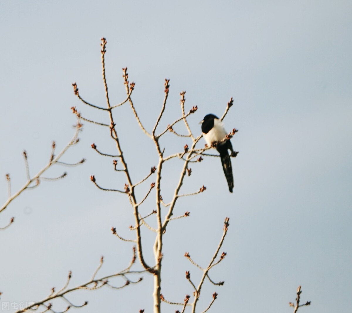 养好教师习惯通往职业幸福——《十二个习惯让教师更幸福》感悟二