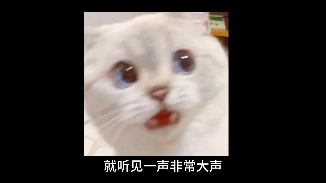 养猫后慢慢讨厌猫怎么办,养猫久了会讨厌狗吗