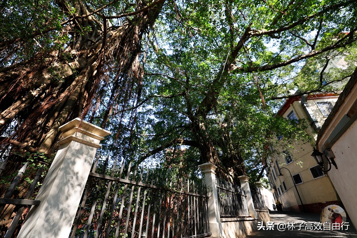 福州最新玩法,福州市区游玩攻略