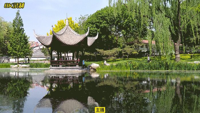 真全面屏设计+真6400万三摄中兴Axon40Ultra评测