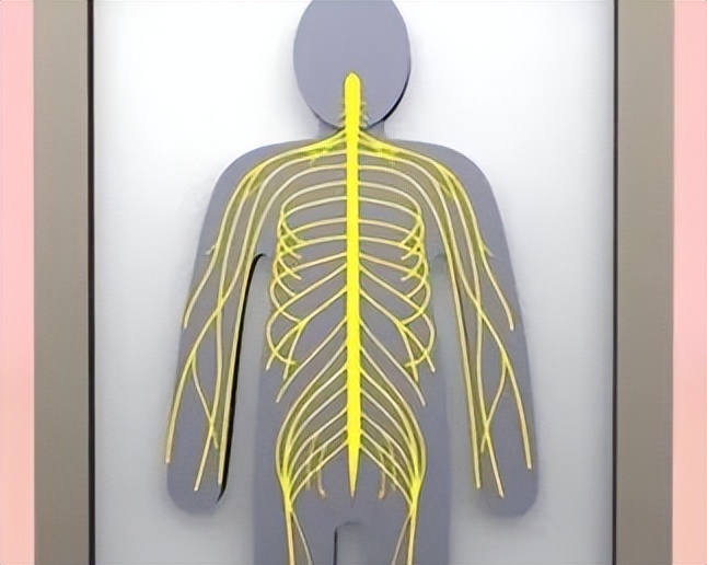 腰椎间盘4-5节突出最好治疗方法,预防腰椎间盘问题