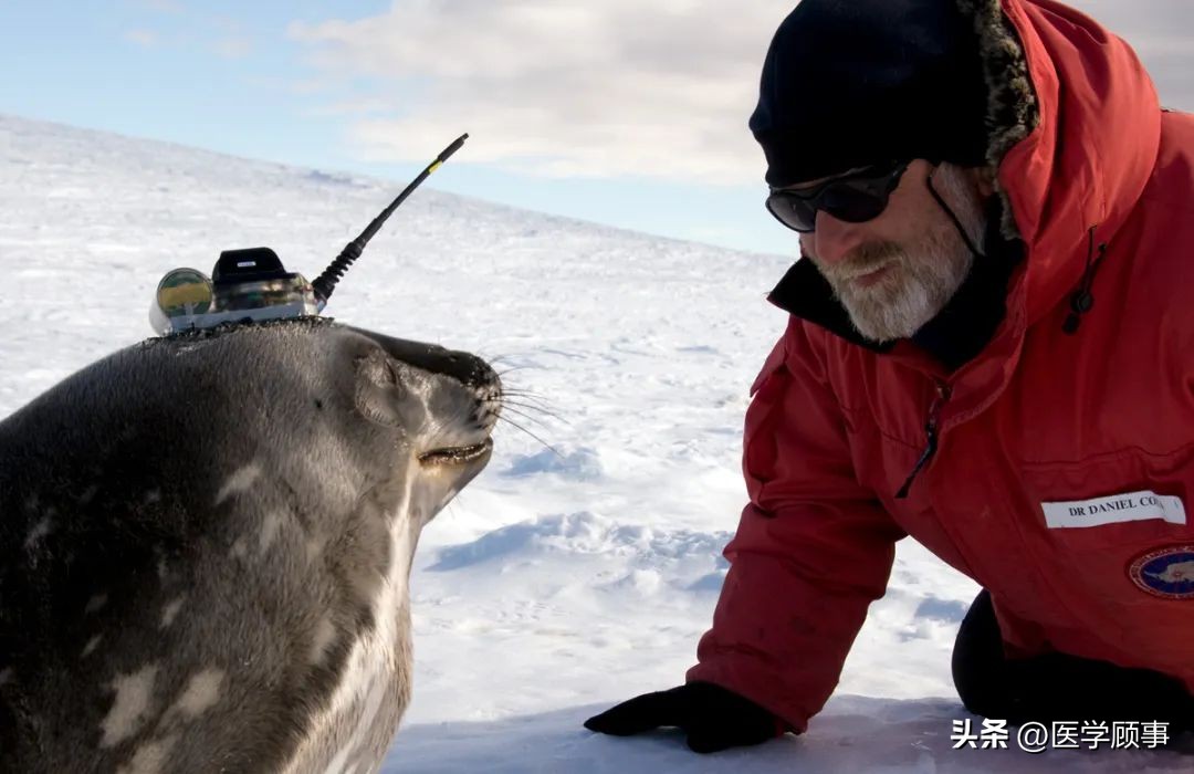 1个方法睡5分钟胜过熟睡6小时,如何在三小时内睡得跟8小时一样