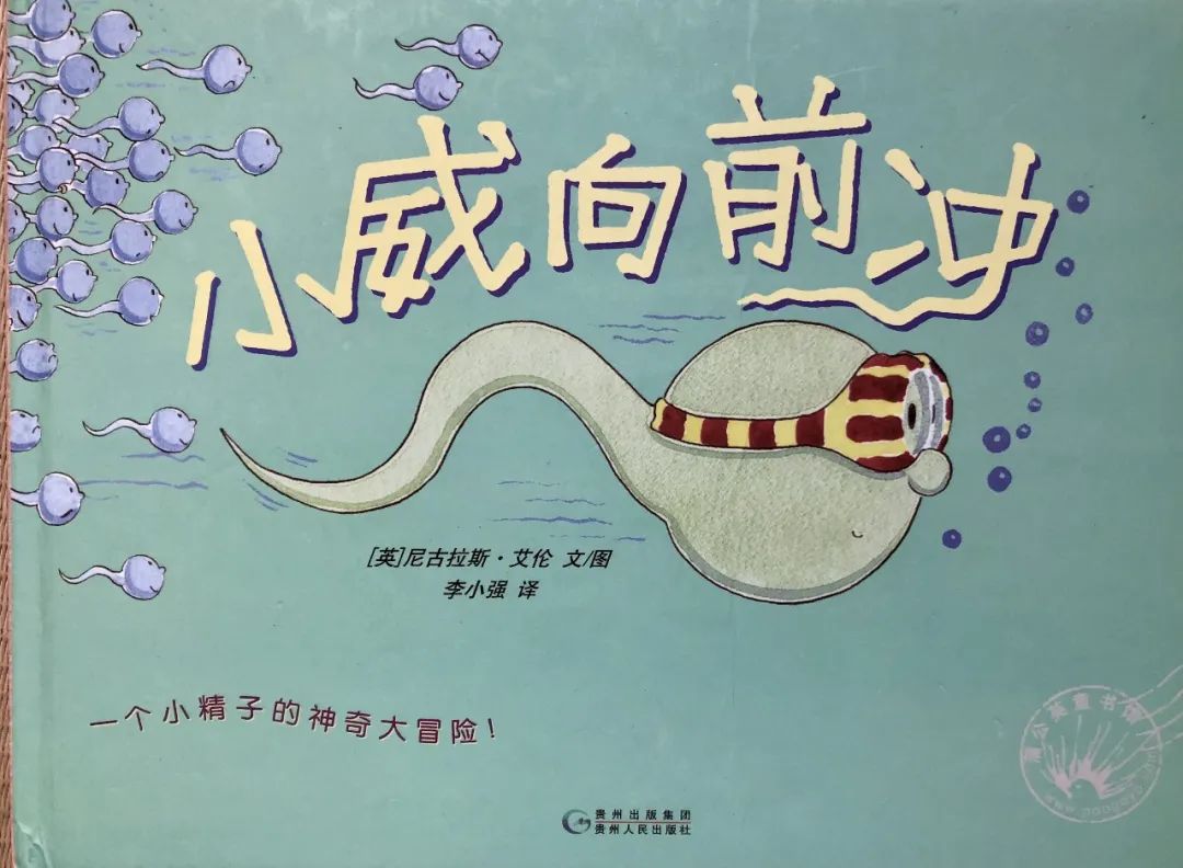 爸爸妈妈我从哪里来教案,爸爸妈妈我从哪里来科普视频