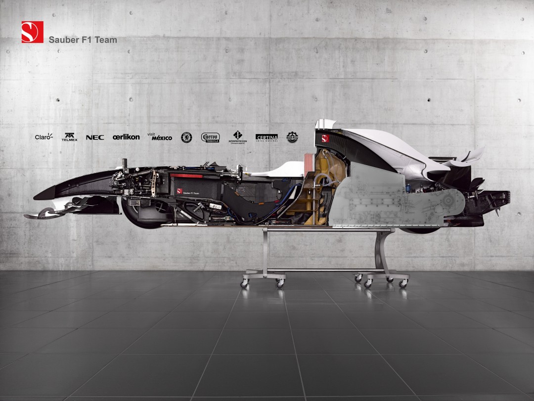 60样东西，切成一半，让你看得一清二楚