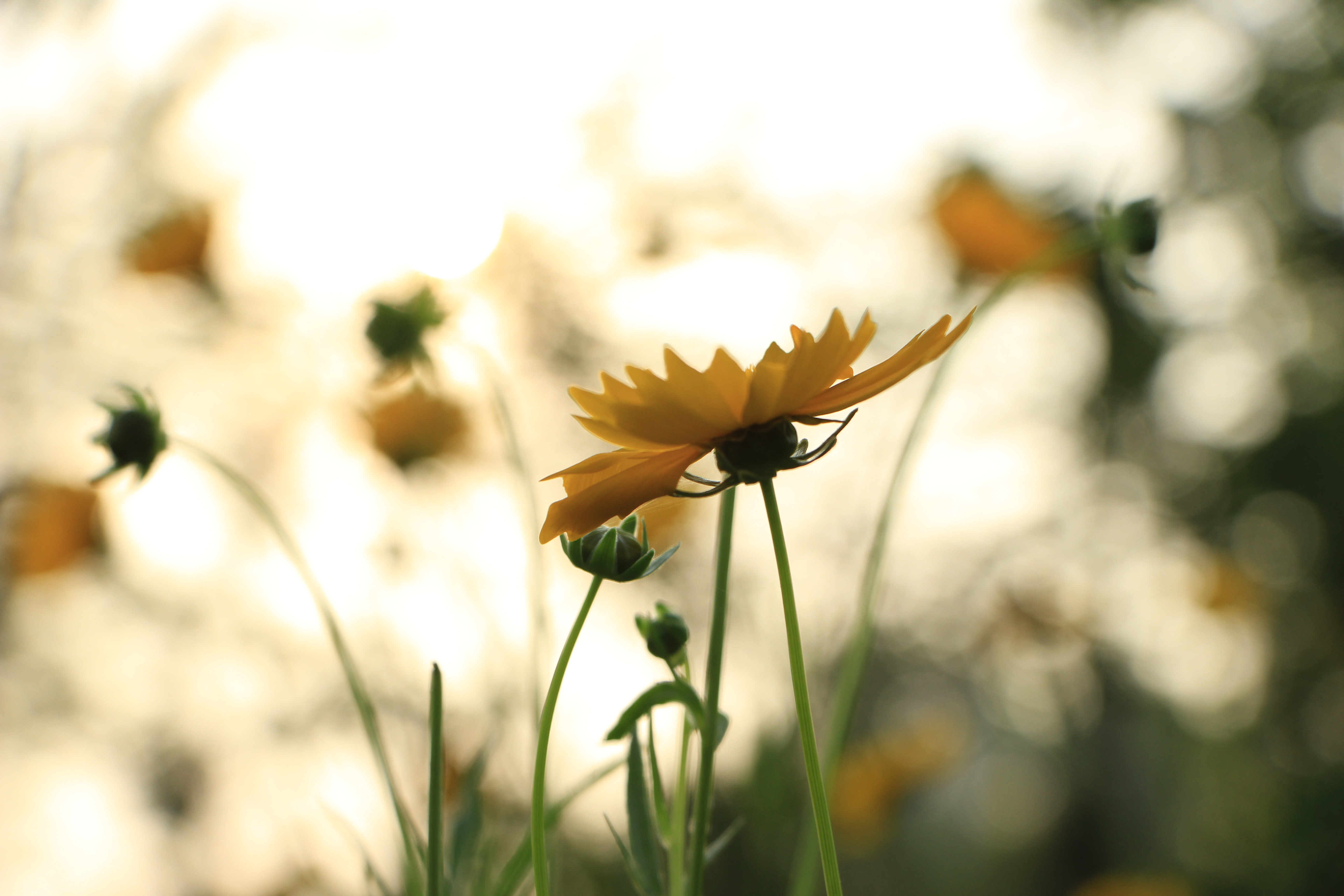 不管谁向你借钱这样回答你就赢了,有人向你借钱三句话高情商拒绝